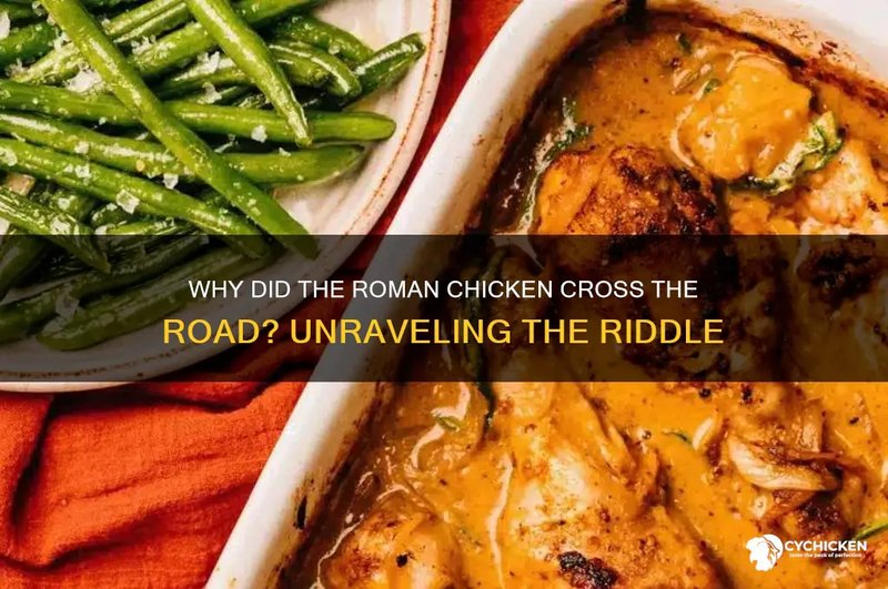 Chicken road romania, chicken road casino